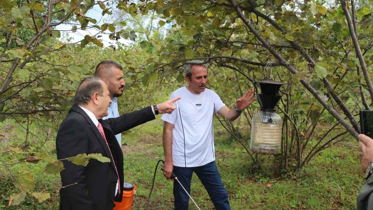 Fındık Savaşları Başlıyor! Kokarca Katili Bulundu!